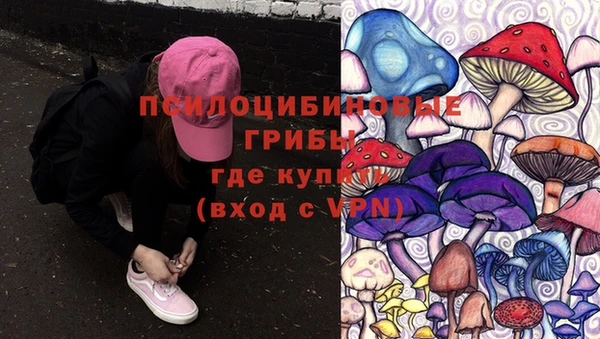 ECSTASY Новозыбков