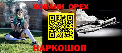 стаф Будённовск