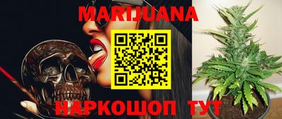 стаф Будённовск