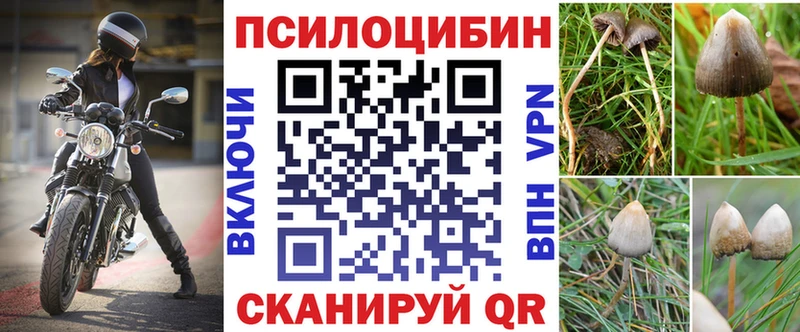 где продают наркотики  мориарти Telegram  Псилоцибиновые грибы мухоморы  Грязи 