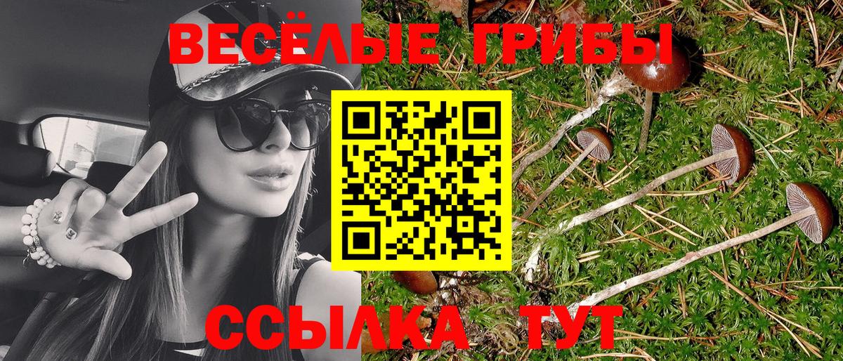 Галлюциногенные грибы MAGIC MUSHROOMS Грязи