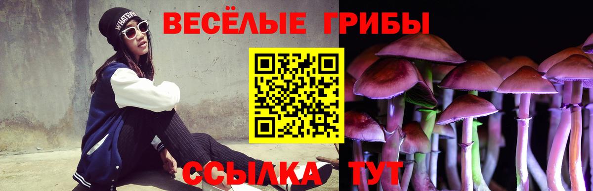 Галлюциногенные грибы мицелий  Вход с VPN  Грязи 